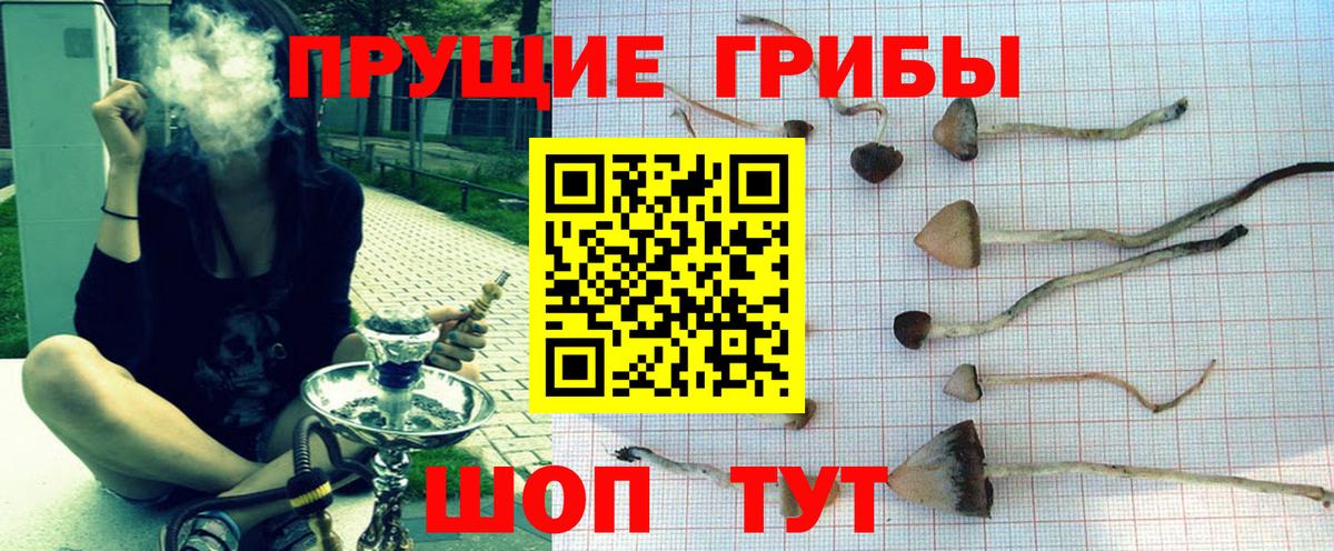 Галлюциногенные грибы Cubensis  Вход с VPN  Верхний Уфалей  Галлюциногенные грибы Magic Shrooms 