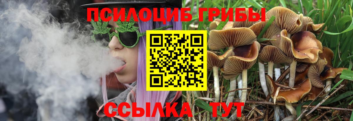 Галлюциногенные грибы Cubensis Верхний Уфалей